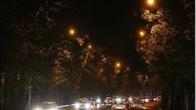 ساکنین تهران