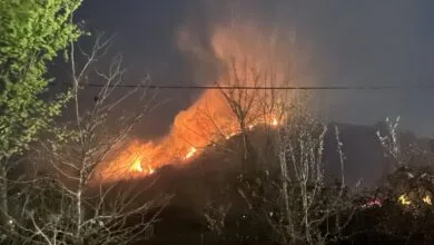ساکنین تهران