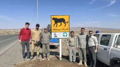 ساکنین تهران