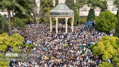 ساکنین تهران