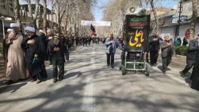 ساکنین تهران