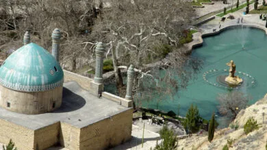 ساکنین تهران
