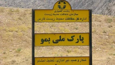 ساکنین تهران