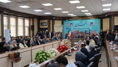 صنایع دستی ایران به وفاق و همبستگی نهادهای مختلف نیاز دارد