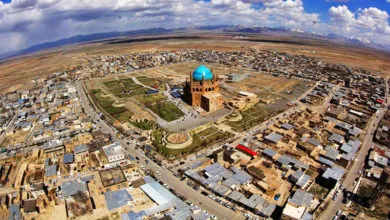 ساکنین تهران