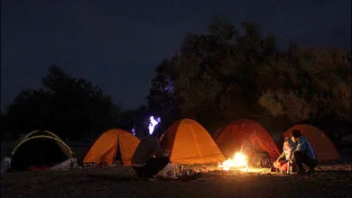 ساکنین تهران