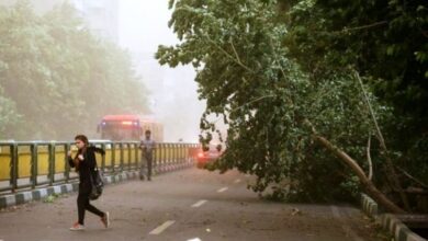 هشدار برای تهران؛ وزش باد شدید و خطر شکستن درختان