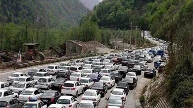 ساکنین تهران