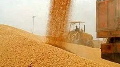 ساکنین تهران