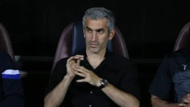 5496074.jpg