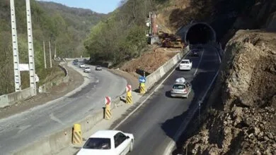 ساکنین تهران