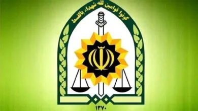 ساکنین تهران