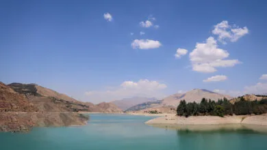 ساکنین تهران
