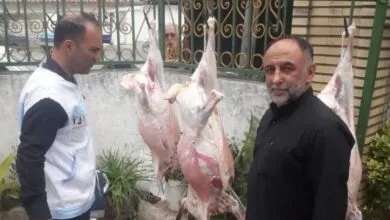 ساکنین تهران