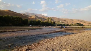 ساکنین تهران