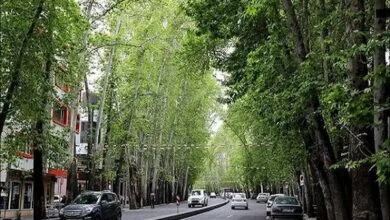 ساکنین تهران